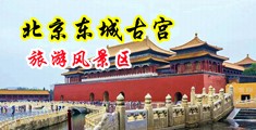 Freetube神马电影黄河影视羞羞答答中国北京-东城古宫旅游风景区